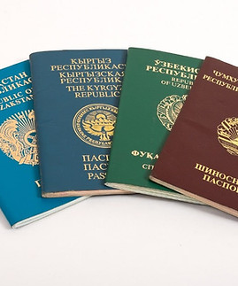 Подготовка миграционных документов